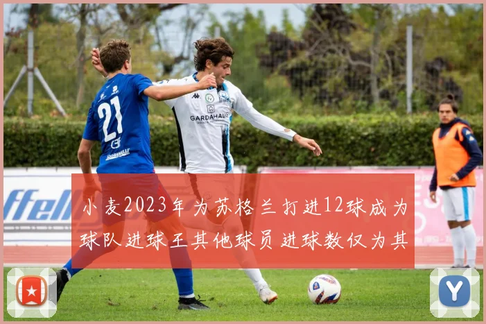 小麦2023年为苏格兰打进12球成为球队进球王其他球员进球数仅为其一半
